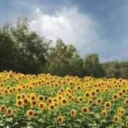 ヒメ日記 2025/05/16 23:11 投稿 野風【ノカゼ】 輝女