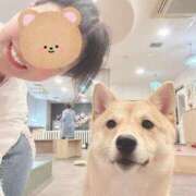 ヒメ日記 2025/06/03 22:44 投稿 野風【ノカゼ】 輝女