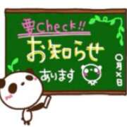 ヒメ日記 2025/09/02 20:53 投稿 野風【ノカゼ】 輝女