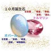 ヒメ日記 2025/09/30 12:13 投稿 野風【ノカゼ】 輝女