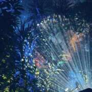 ヒメ日記 2025/12/02 23:59 投稿 野風【ノカゼ】 輝女