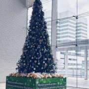 ヒメ日記 2025/12/14 23:20 投稿 野風【ノカゼ】 輝女