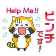 ヒメ日記 2025/12/26 23:04 投稿 野風【ノカゼ】 輝女