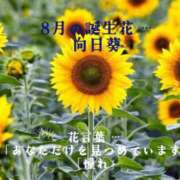 ヒメ日記 2026/07/28 00:01 投稿 野風【ノカゼ】 輝女