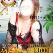 ヒメ日記 2026/02/23 19:42 投稿 おとは One More 奥様　松戸店