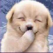 ヒメ日記 2025/09/01 05:01 投稿 ゆあ 丸妻 新横浜店