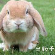 ヒメ日記 2025/09/23 10:51 投稿 えみ 夜這専門発情する奥様たち 谷九店