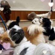 ヒメ日記 2025/03/19 22:01 投稿 いこま 東京メンズボディクリニック TMBC 立川店