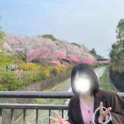 ヒメ日記 2026/04/01 08:01 投稿 いこま 東京メンズボディクリニック TMBC 立川店