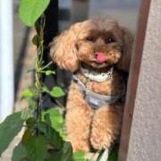 ヒメ日記 2025/07/26 08:36 投稿 里緒奈-riona- MANDALA