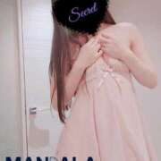 ヒメ日記 2025/10/08 22:31 投稿 芽郁-mei- MANDALA