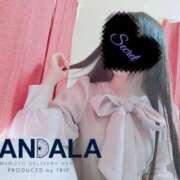 ヒメ日記 2025/12/02 20:02 投稿 芽郁-mei- MANDALA