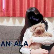 ヒメ日記 2026/02/19 13:01 投稿 芽郁-mei- MANDALA