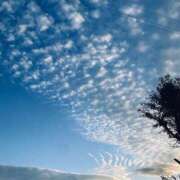 ヒメ日記 2025/04/06 02:02 投稿 奏奈-kana- MANDALA