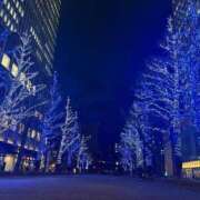 ヒメ日記 2024/12/16 00:42 投稿 武田あいな サクラ（すすきの）