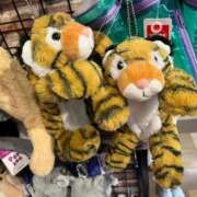 ヒメ日記 2024/12/25 10:36 投稿 武田あいな サクラ（すすきの）