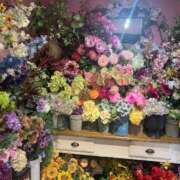 ヒメ日記 2025/01/26 18:39 投稿 片瀬(HCupのその先に…) おふくろさん 名古屋本店