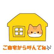ヒメ日記 2025/08/20 09:40 投稿 片瀬(HCupのその先に…) おふくろさん 名古屋本店