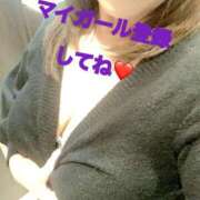 ヒメ日記 2025/11/20 10:33 投稿 片瀬(HCupのその先に…) おふくろさん 名古屋本店