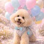 ヒメ日記 2026/02/26 09:15 投稿 片瀬(HCupのその先に…) おふくろさん 名古屋本店