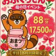 ヒメ日記 2026/05/26 17:59 投稿 片瀬(HCupのその先に…) おふくろさん 名古屋本店