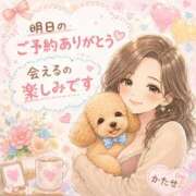 ヒメ日記 2026/07/28 13:36 投稿 片瀬(HCupのその先に…) おふくろさん 名古屋本店