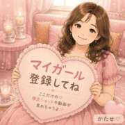 ヒメ日記 2026/07/29 14:30 投稿 片瀬(HCupのその先に…) おふくろさん 名古屋本店