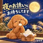 ヒメ日記 2026/09/25 17:15 投稿 片瀬(HCupのその先に…) おふくろさん 名古屋本店