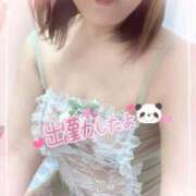 ヒメ日記 2025/03/26 22:18 投稿 しずく 小田原人妻城