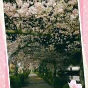 ヒメ日記 2025/04/13 13:33 投稿 しずく 小田原人妻城