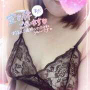 ヒメ日記 2025/04/17 08:18 投稿 しずく 小田原人妻城