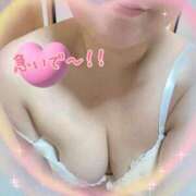 ヒメ日記 2026/01/24 11:44 投稿 しずく 小田原人妻城