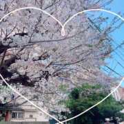 ヒメ日記 2026/04/03 16:53 投稿 しずく 小田原人妻城