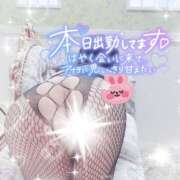 ヒメ日記 2026/08/01 08:17 投稿 しずく 小田原人妻城