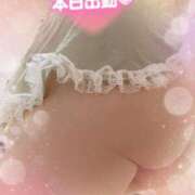 しずく おはよ✨ 小田原人妻城