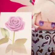 ヒメ日記 2025/04/11 20:43 投稿 ゆの SOPHIA（ソフィア）