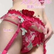 もも 2月の予定♡ 横浜回春性感マッサージ倶楽部