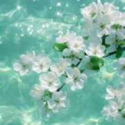 もも お休みのお知らせ。 横浜回春性感マッサージ倶楽部