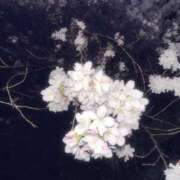 ヒメ日記 2026/03/07 21:45 投稿 あさり 巨乳専科パンチラボイン横浜