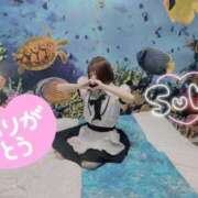 ヒメ日記 2025/03/16 15:01 投稿 りな☆ロリパイパン低身長 萌えラブ倉敷店