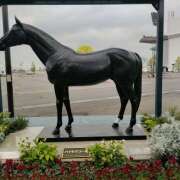 ヒメ日記 2025/06/01 09:05 投稿 ときこ みやこ