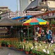 ヒメ日記 2025/07/07 09:15 投稿 ときこ みやこ