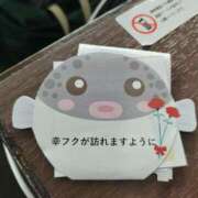 ヒメ日記 2025/10/06 10:11 投稿 ときこ みやこ