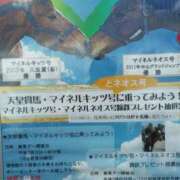 ヒメ日記 2025/10/21 11:37 投稿 ときこ みやこ