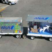 ヒメ日記 2025/12/08 18:11 投稿 ときこ みやこ