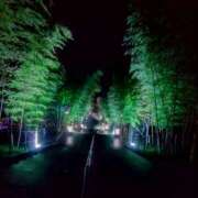 ヒメ日記 2026/01/19 19:27 投稿 ときこ みやこ