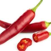 ヒメ日記 2026/02/02 10:24 投稿 ときこ みやこ