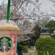 ヒメ日記 2026/03/30 09:54 投稿 ときこ みやこ