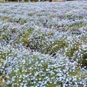 ときこ 月曜発信「週刊ときこ」 みやこ