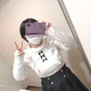 ヒメ日記 2025/04/05 15:17 投稿 玲 いたずらSぽっちゃりニャン娘